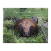 The Bears in My Life - A Collection by Jon Henri McCracken, Furnishings, Decor, Book