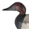 Canvasback Drake Decoy