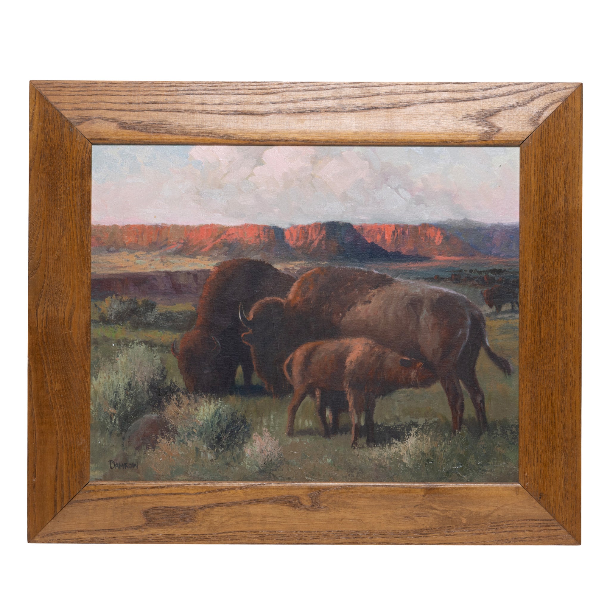 "Buffalo Family" by Charles Damrow