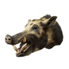 Feral Boar Mount, Furnishings, Taxidermy, Boar