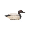 Canvasback Drake Decoy