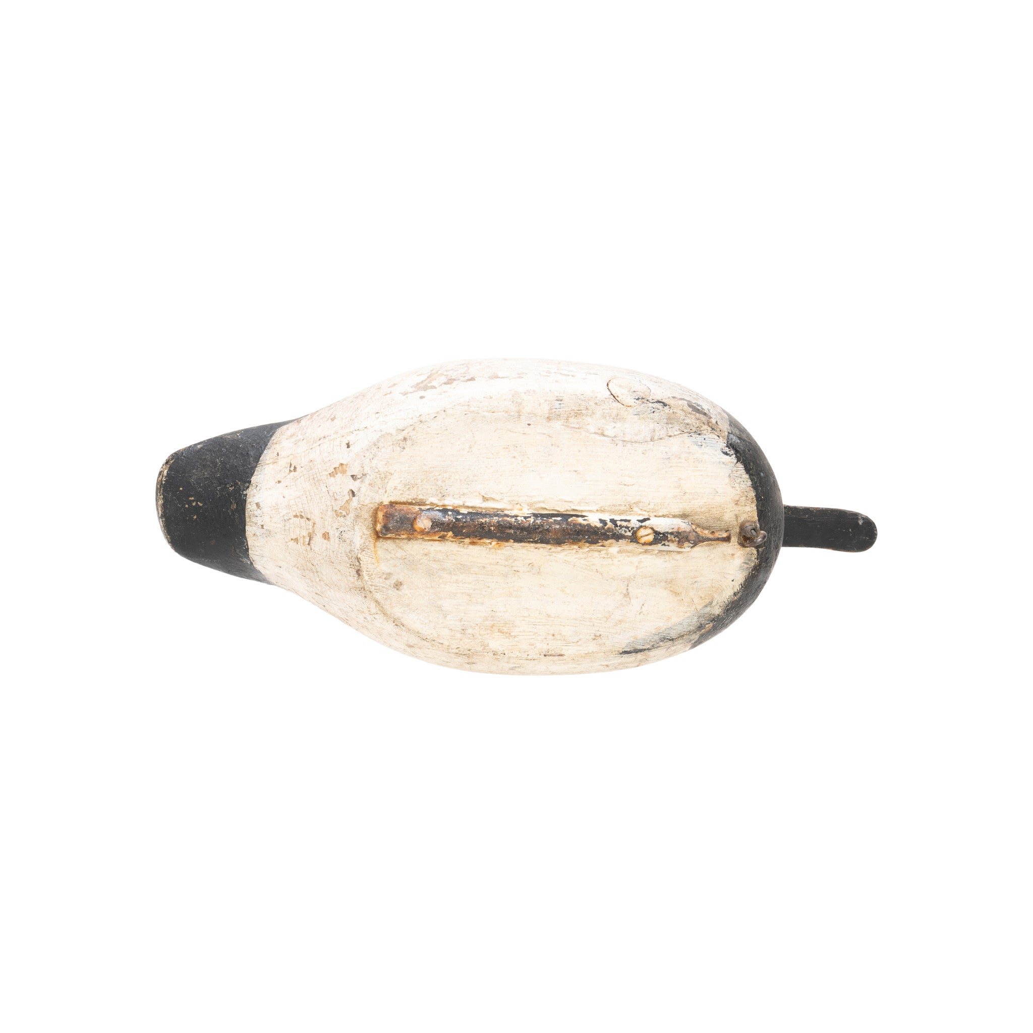 Canvasback Drake Decoy