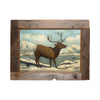 Folky Elk