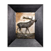 Trophy Stag Plaque, Fine Art, Bronze, Limited