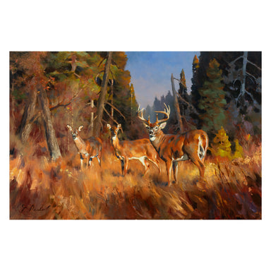 An Autumn Forest by Greg Parker, Fine Art, Painting, Wildlife