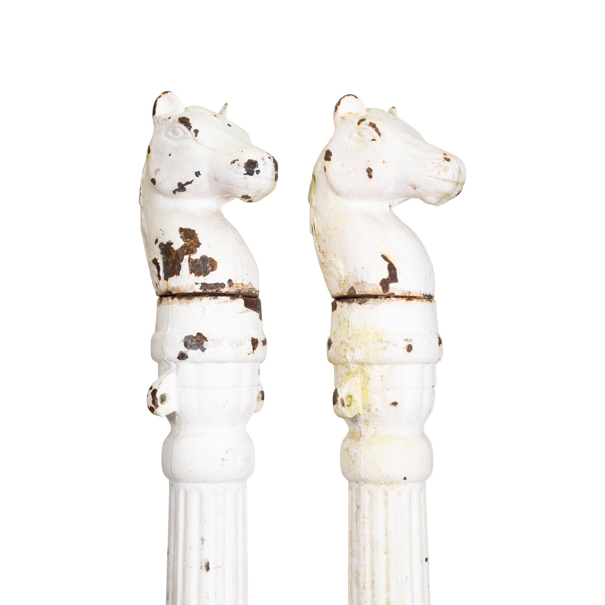 Horse Head Hitching Posts