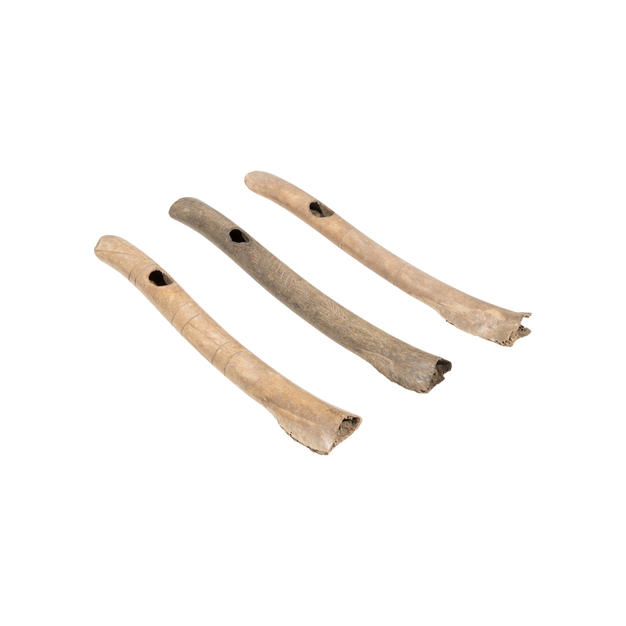 Wing Bone Whistles