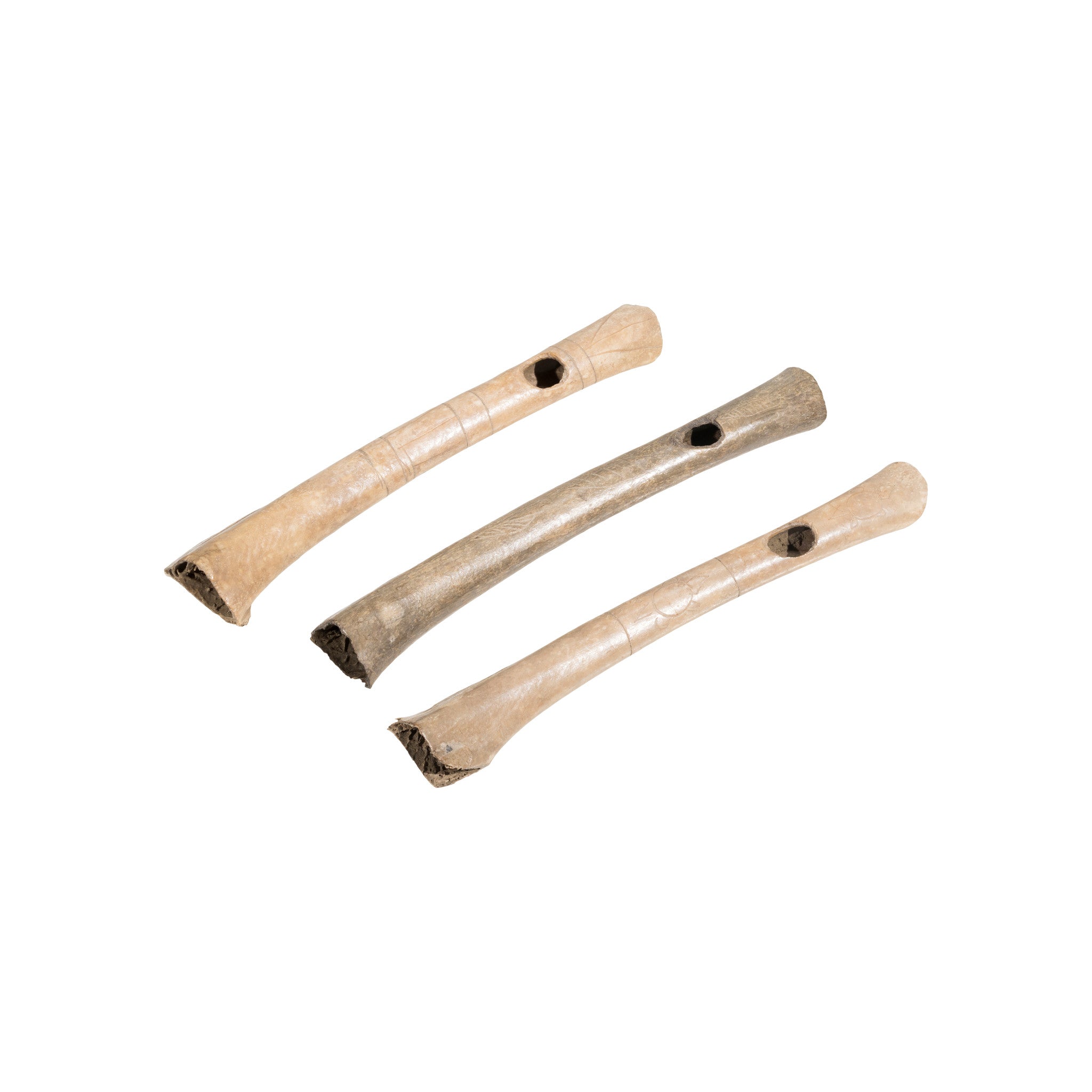 Wing Bone Whistles