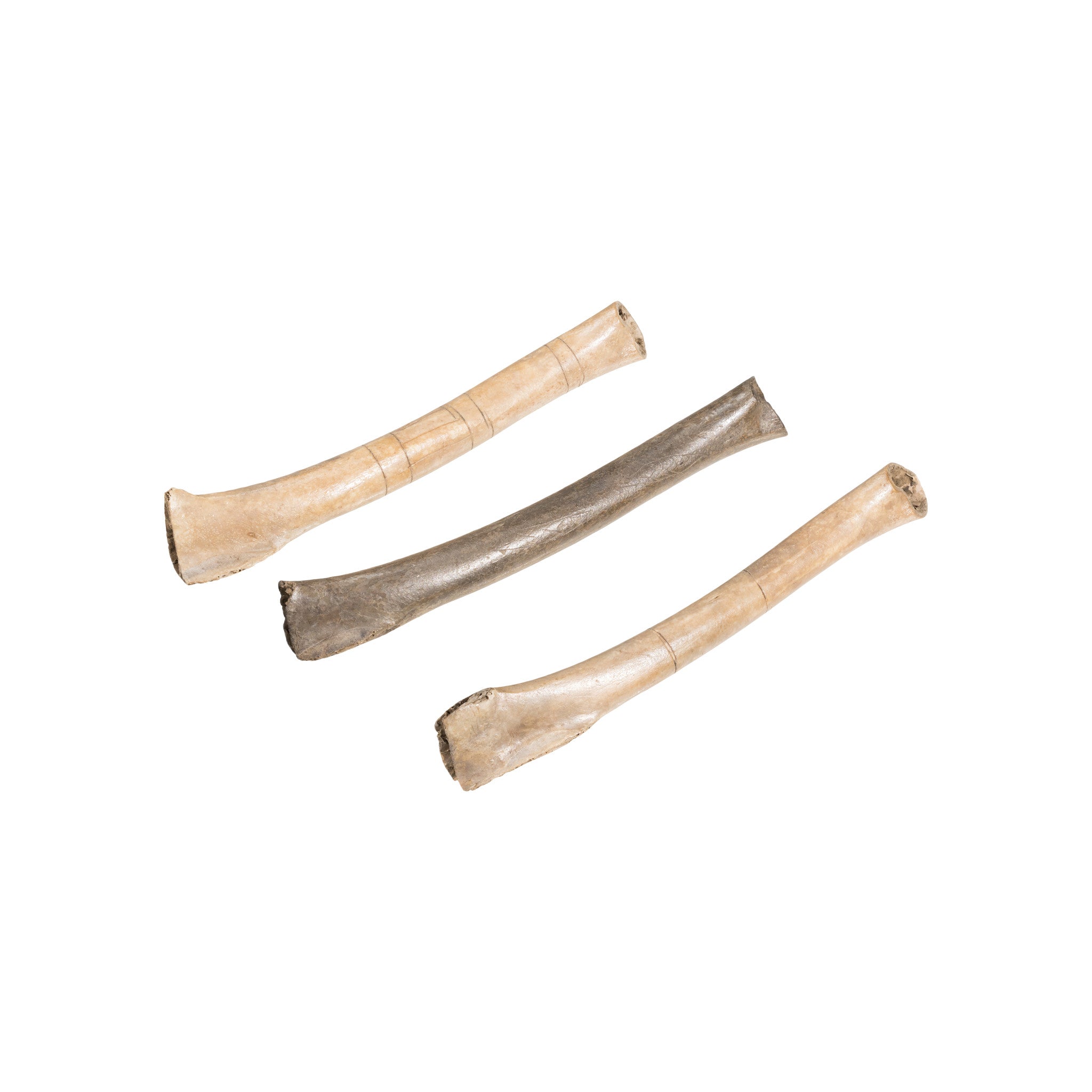 Wing Bone Whistles