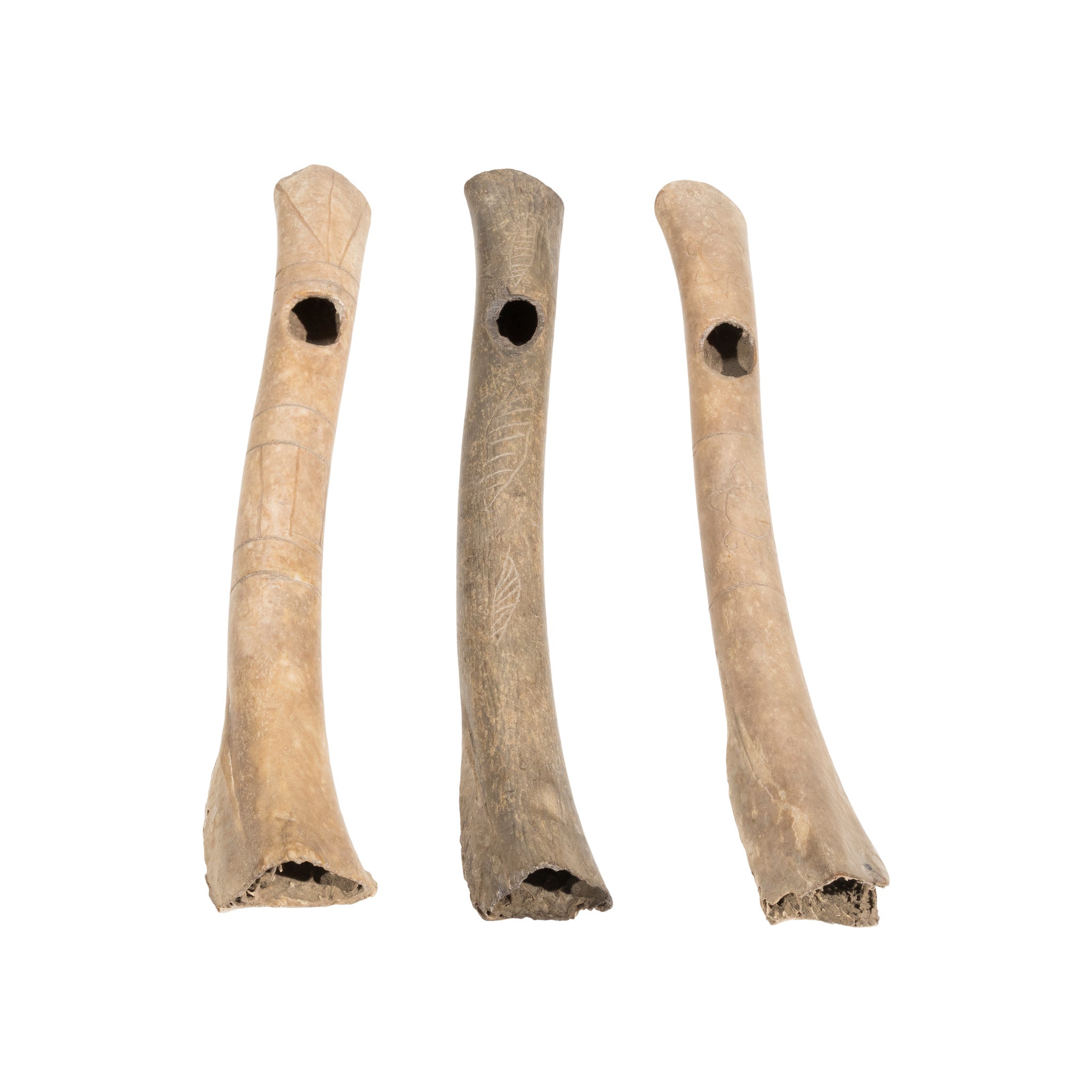 Wing Bone Whistles