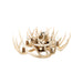 Whitetail Antler Chandelier, Furnishings, Lighting, Ceiling Light