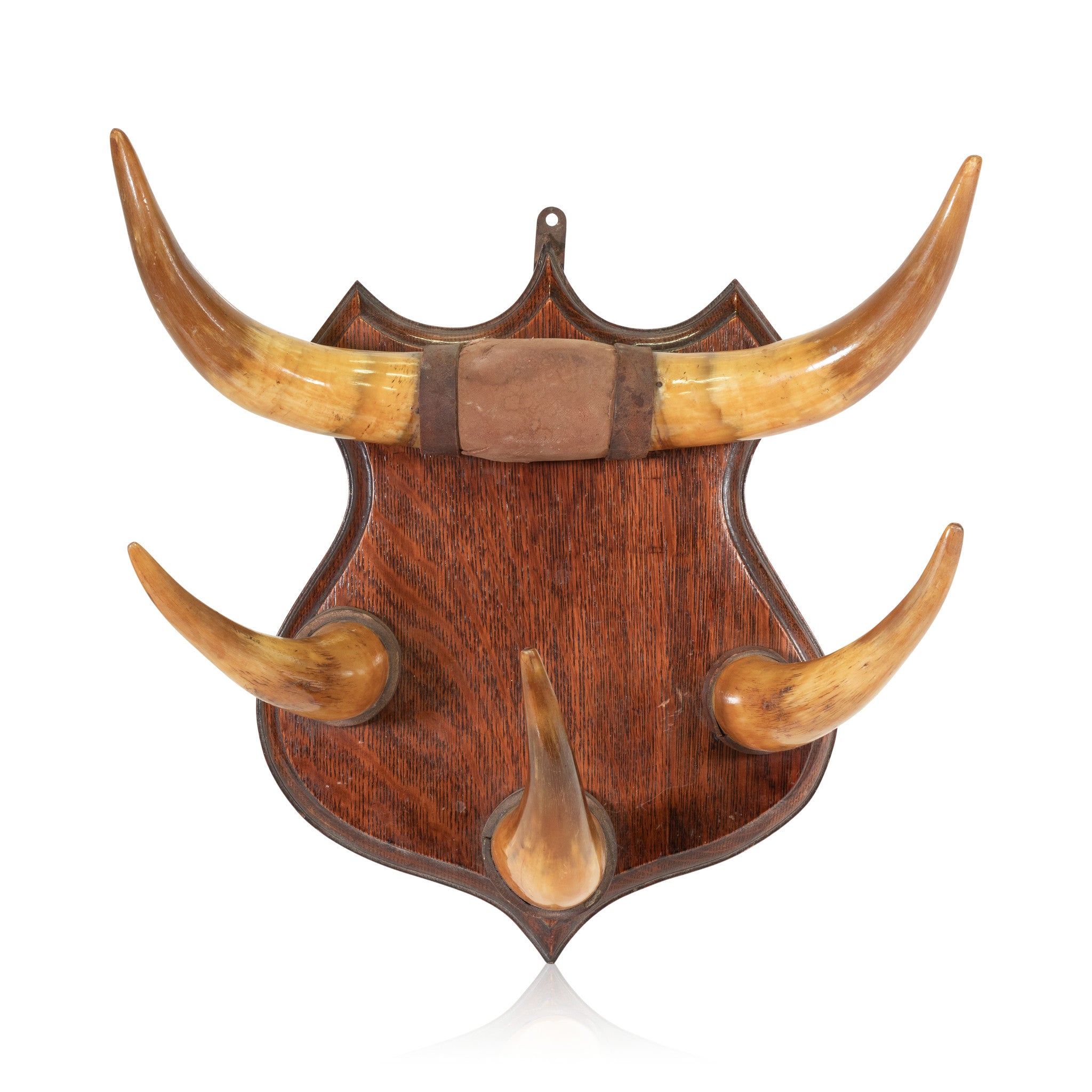 Horn Hat Rack, Furnishings, Furniture, Coat Rack