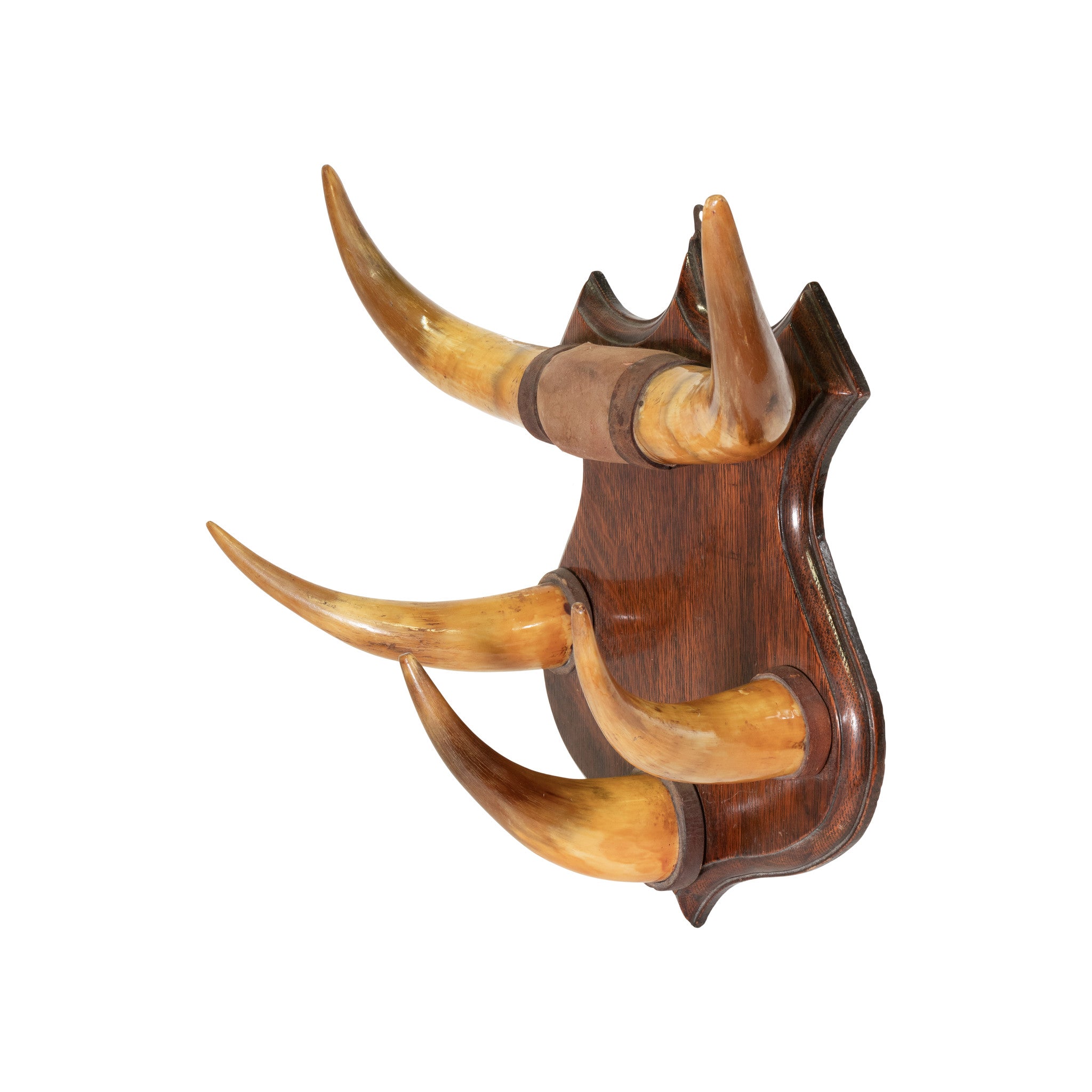 Horn Hat Rack
