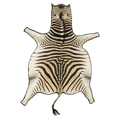 Zebra Rug, Furnishings, Taxidermy, African