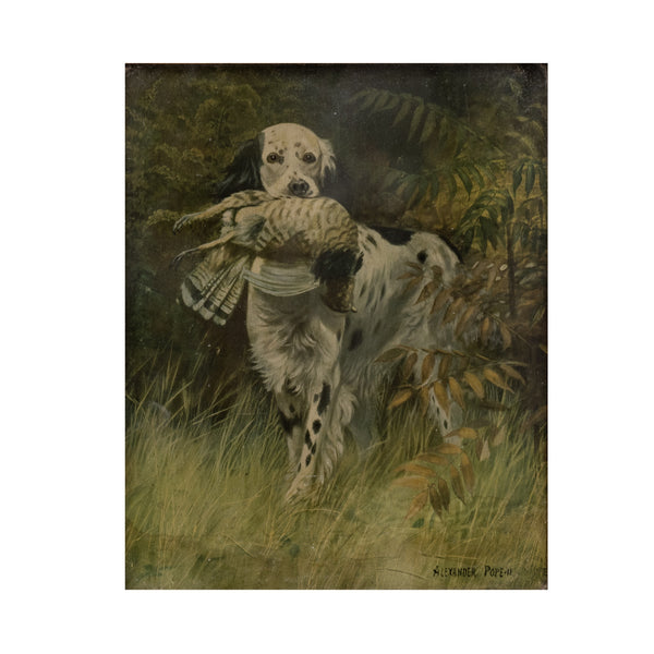Setter with Grouse by Alexander Pope, Fine Art, Print, Other