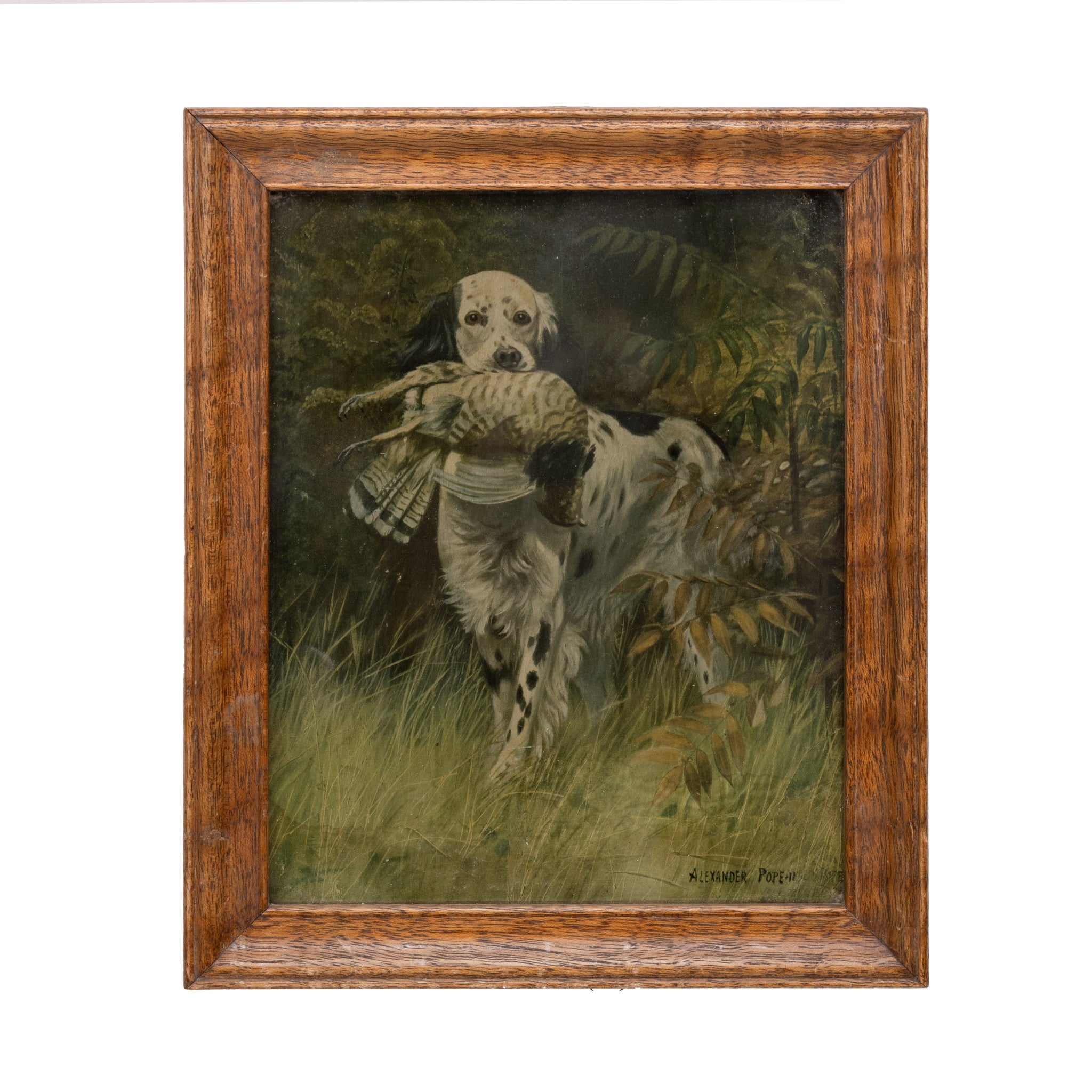 Setter with Grouse by Alexander Pope