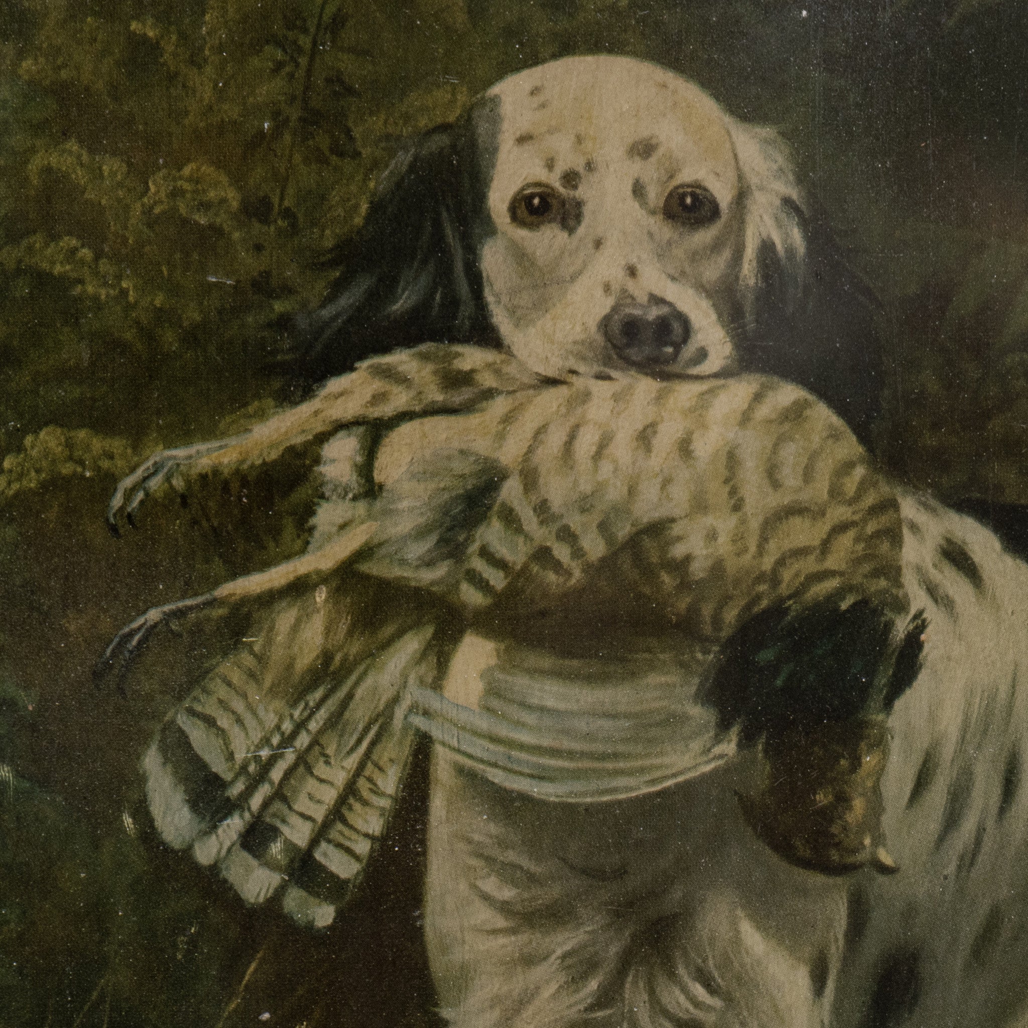 Setter with Grouse by Alexander Pope