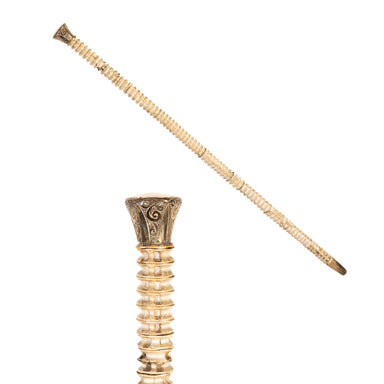 Gentleman's Walking Stick, Furnishings, Decor, Cane