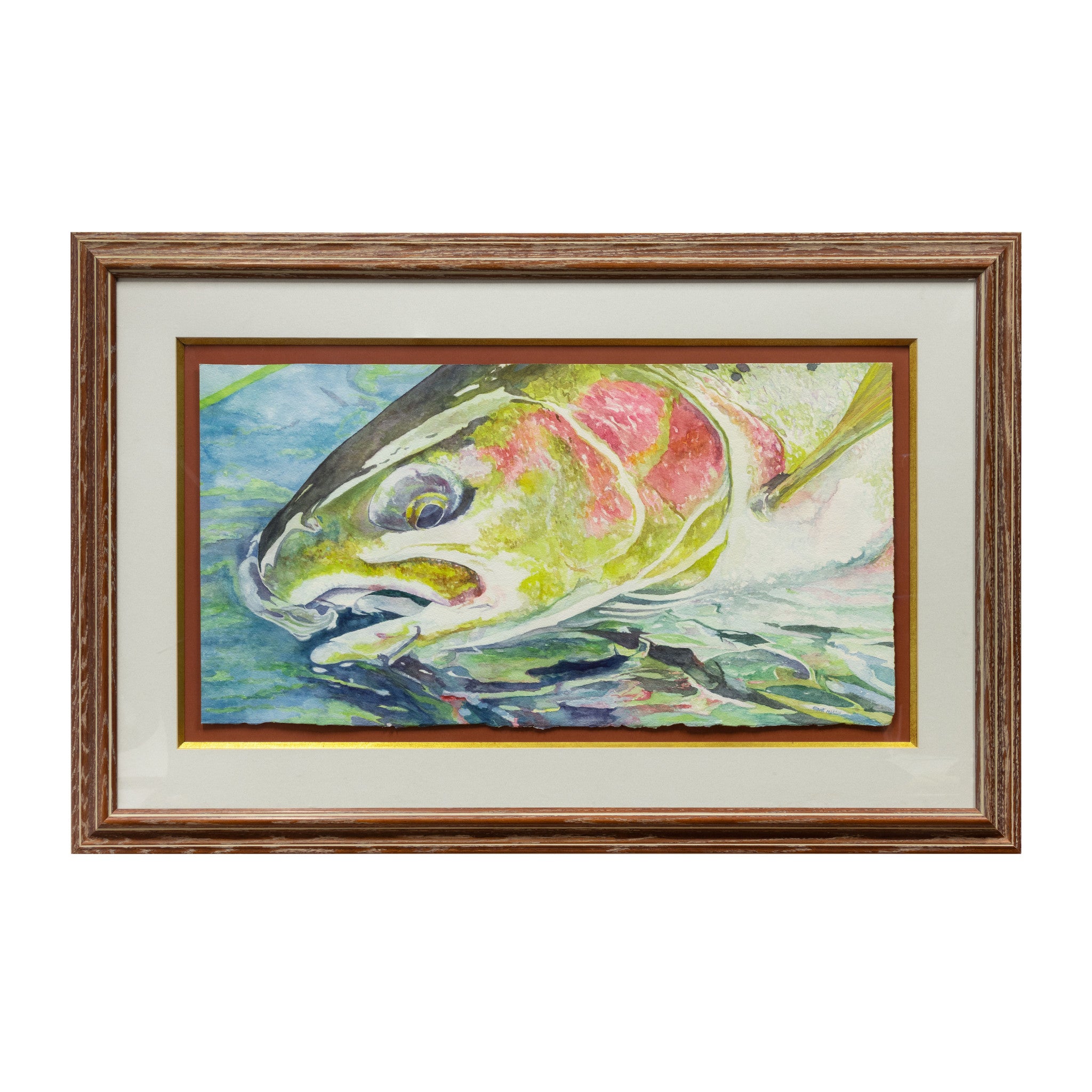 Steelhead on the Clearwater by Grant Nixon