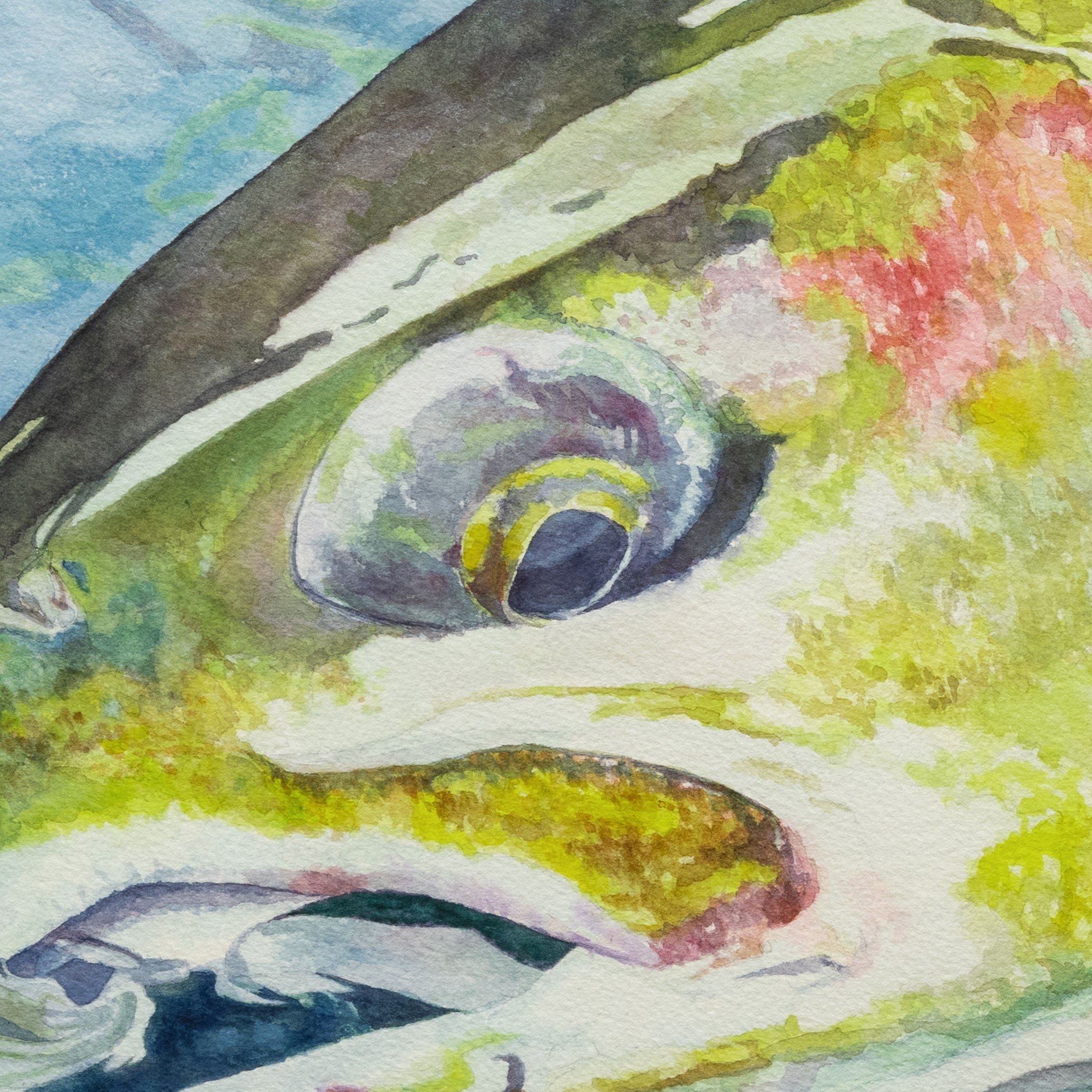 Steelhead on the Clearwater by Grant Nixon