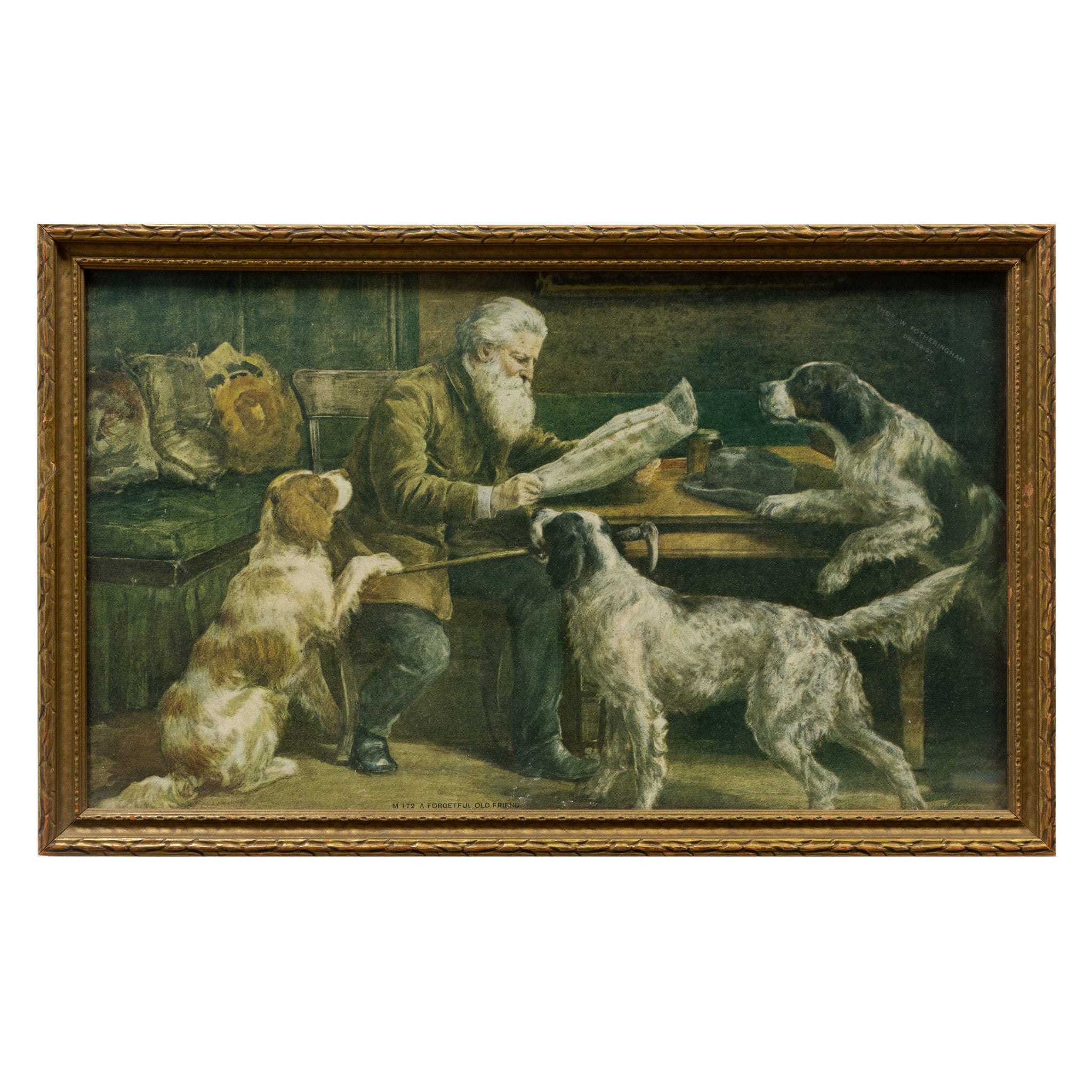 Forgetful Old Friend by C. Myhre