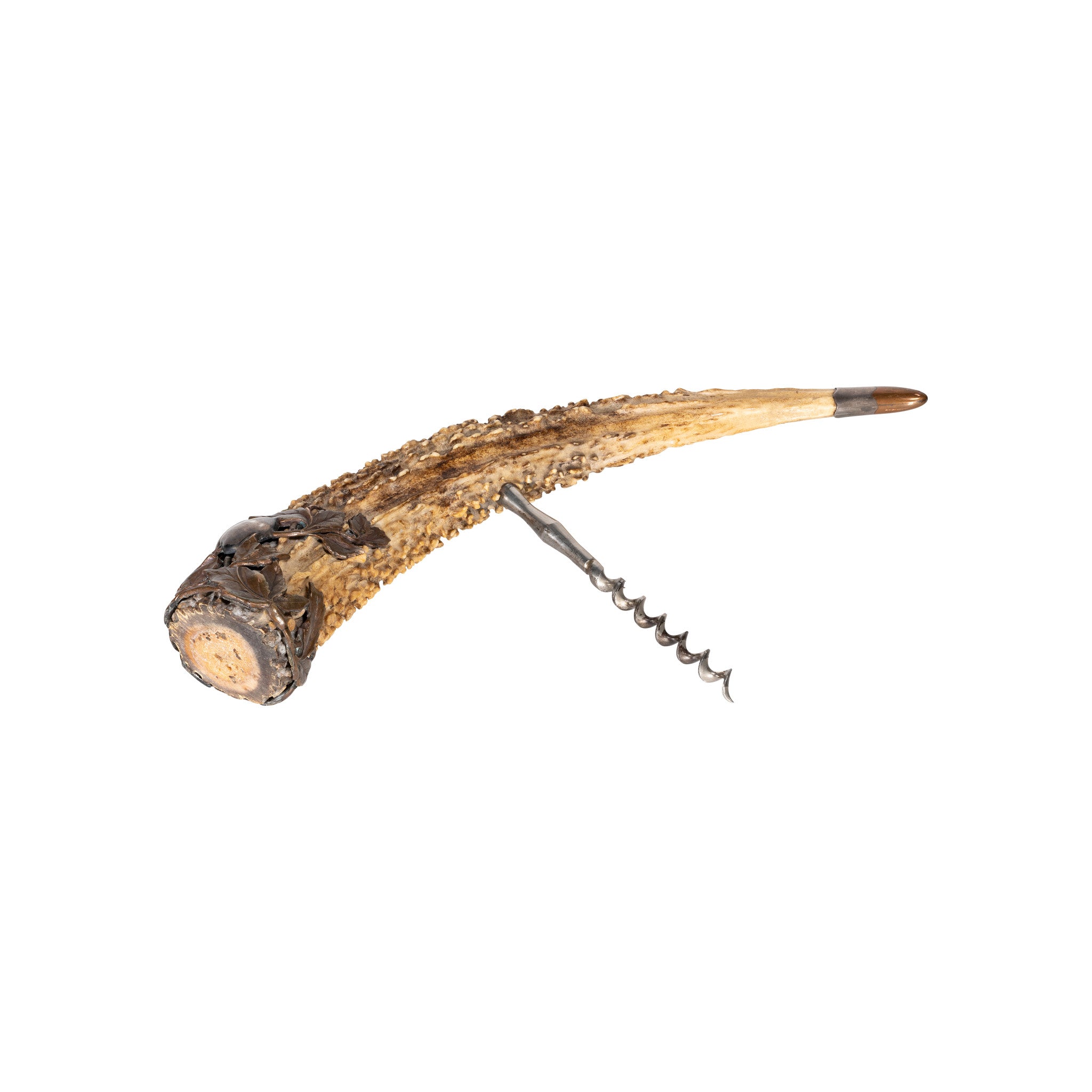 Monumental Stag Horn Corkscrew