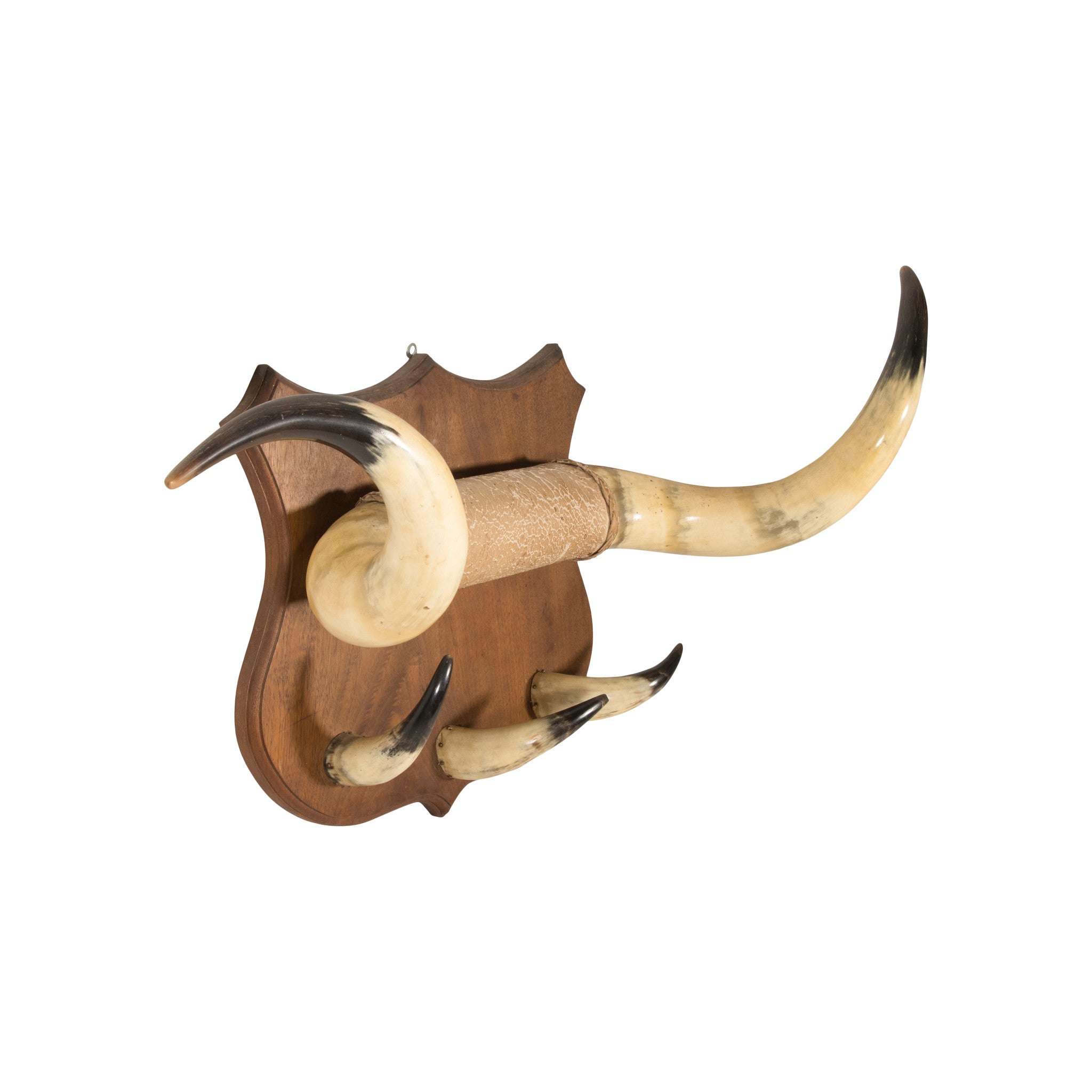 Vintage Decorative Horn Hat Rack