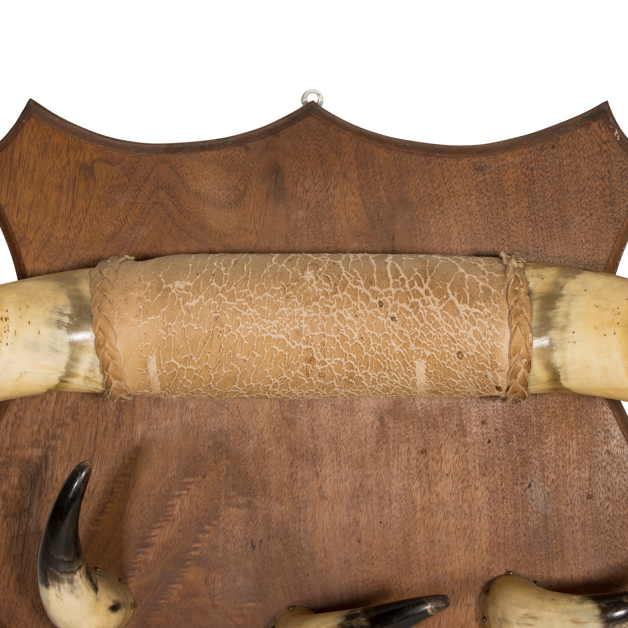 Vintage Decorative Horn Hat Rack