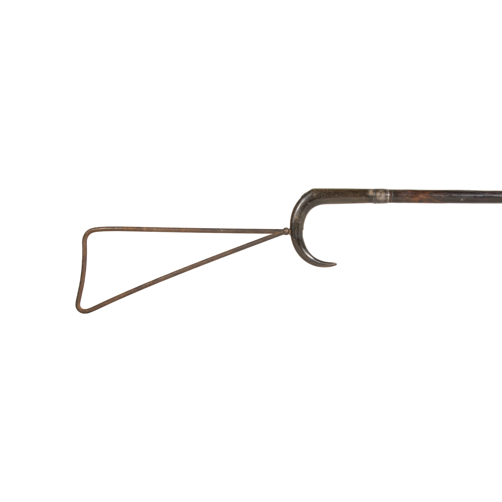 Rimfire Cane Gun