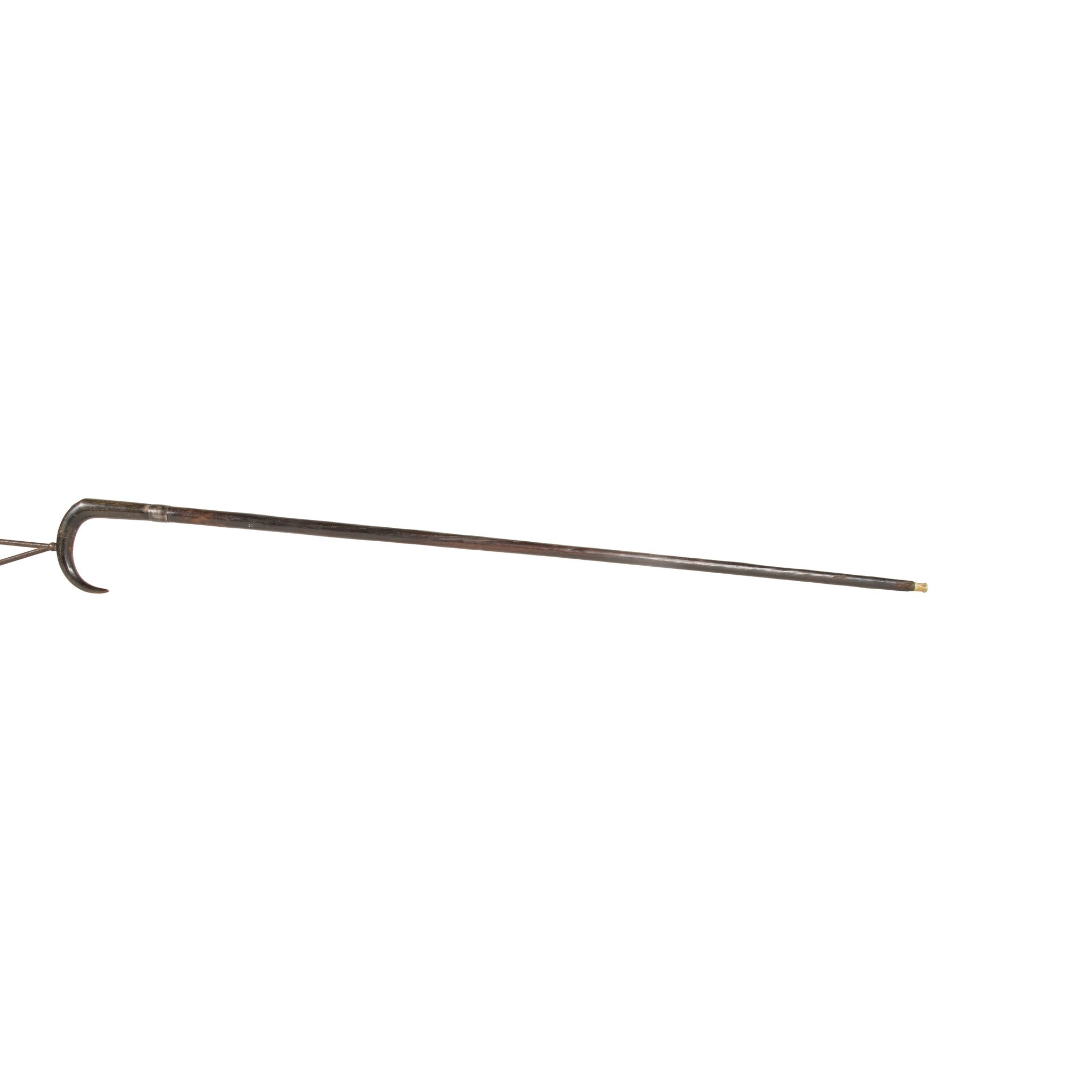 Rimfire Cane Gun