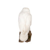 "Snowy Owl" Mount