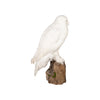 "Snowy Owl" Mount