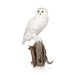 "Snowy Owl" Mount, Furnishings, Taxidermy, Bird