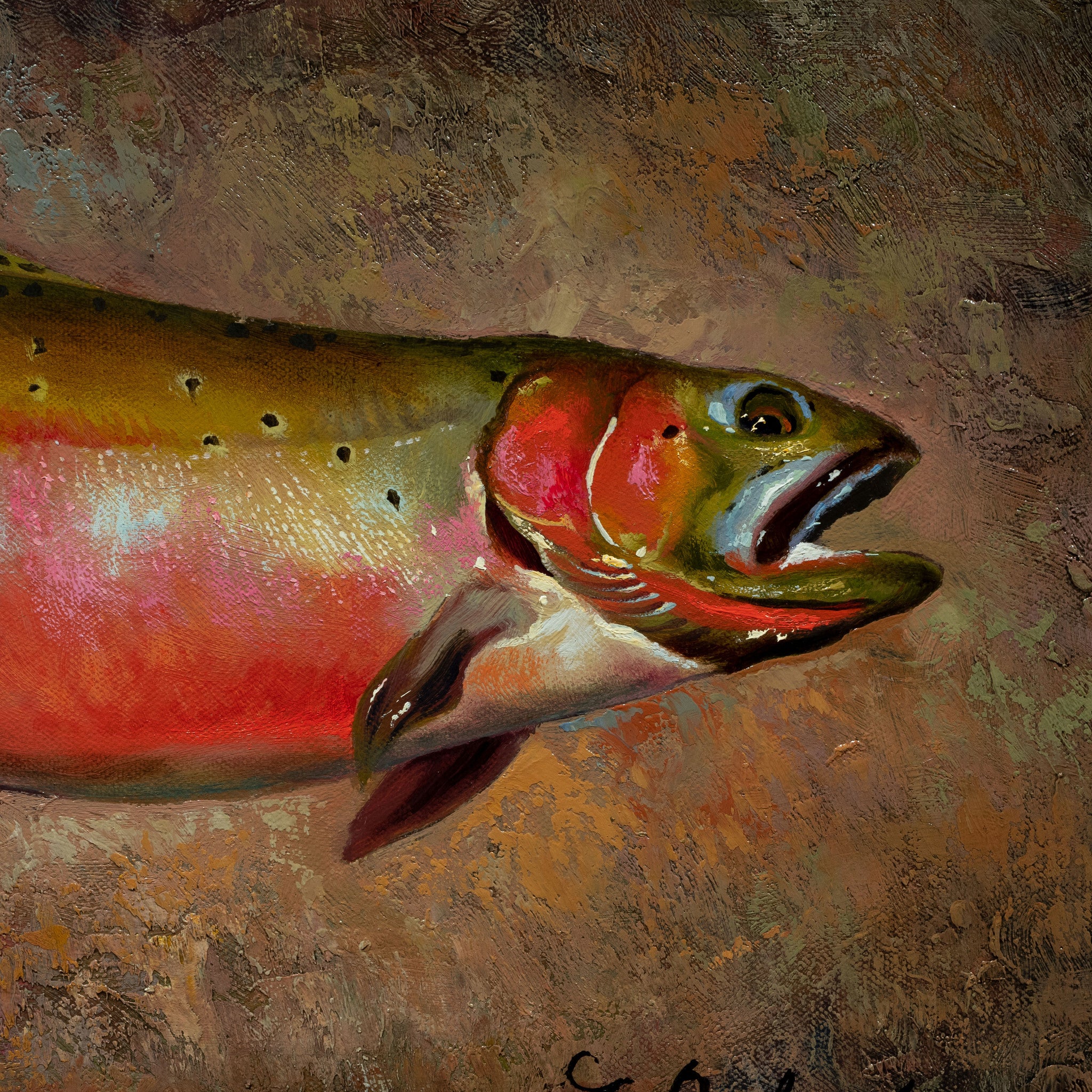 Trout Collection by Greg Parker
