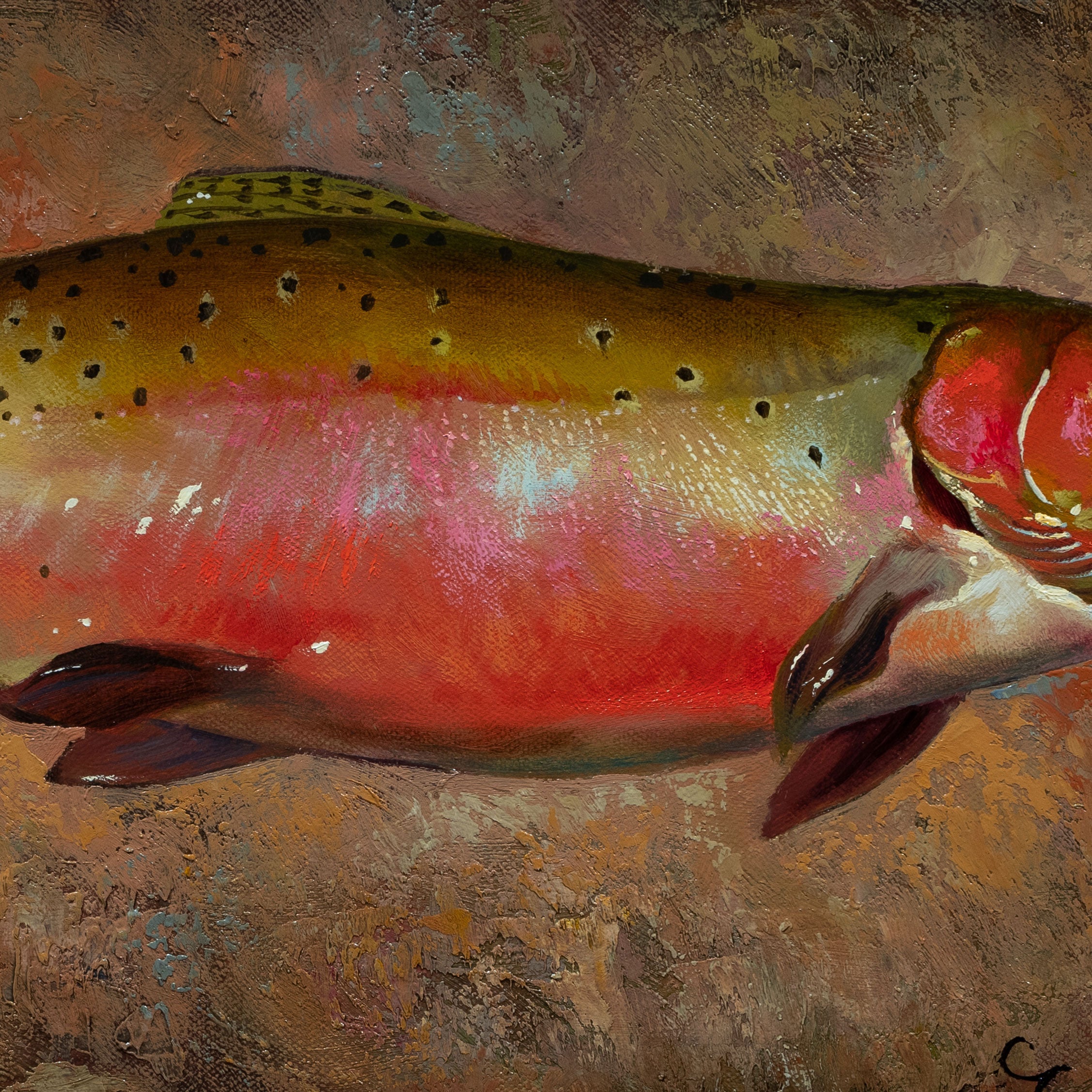 Trout Collection by Greg Parker