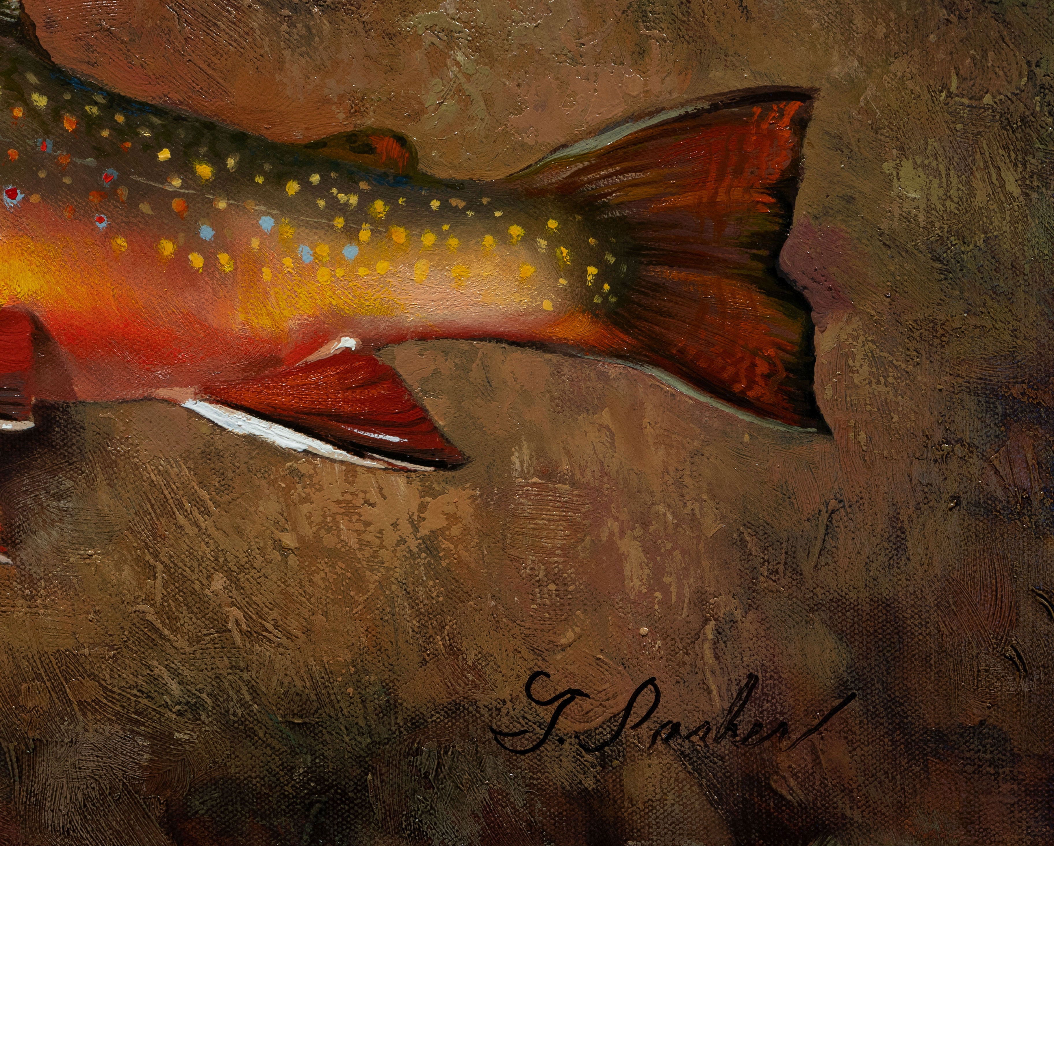 Trout Collection by Greg Parker