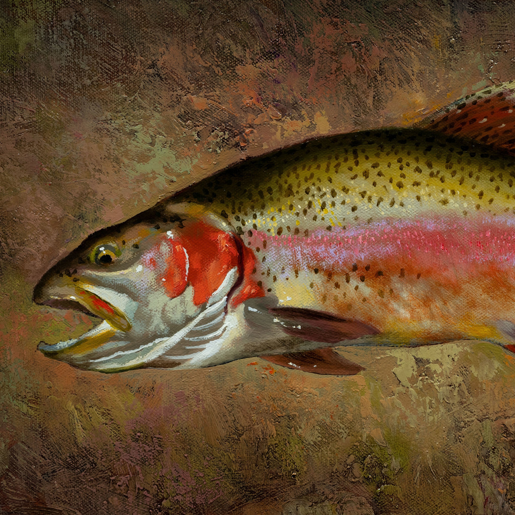 Trout Collection by Greg Parker