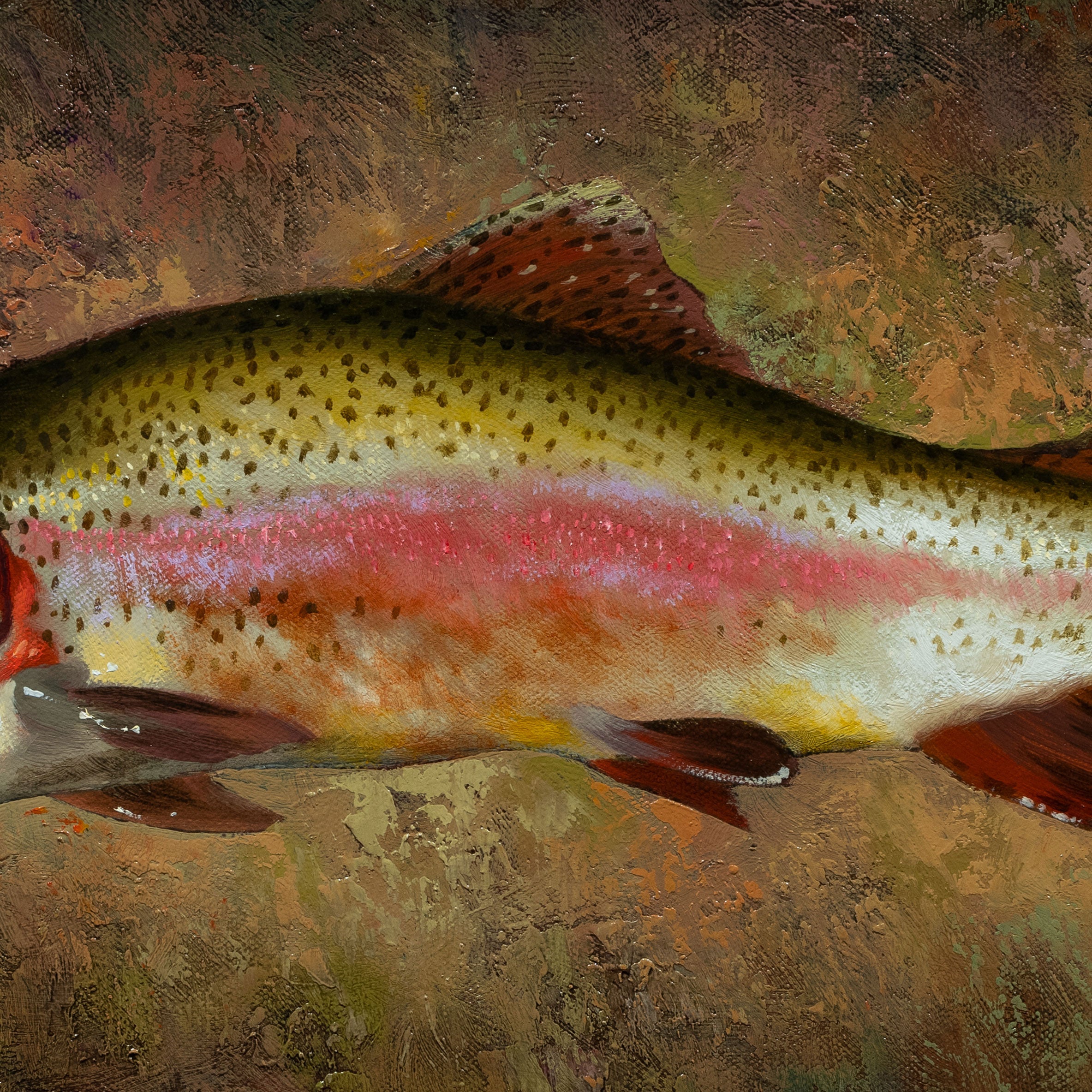 Trout Collection by Greg Parker