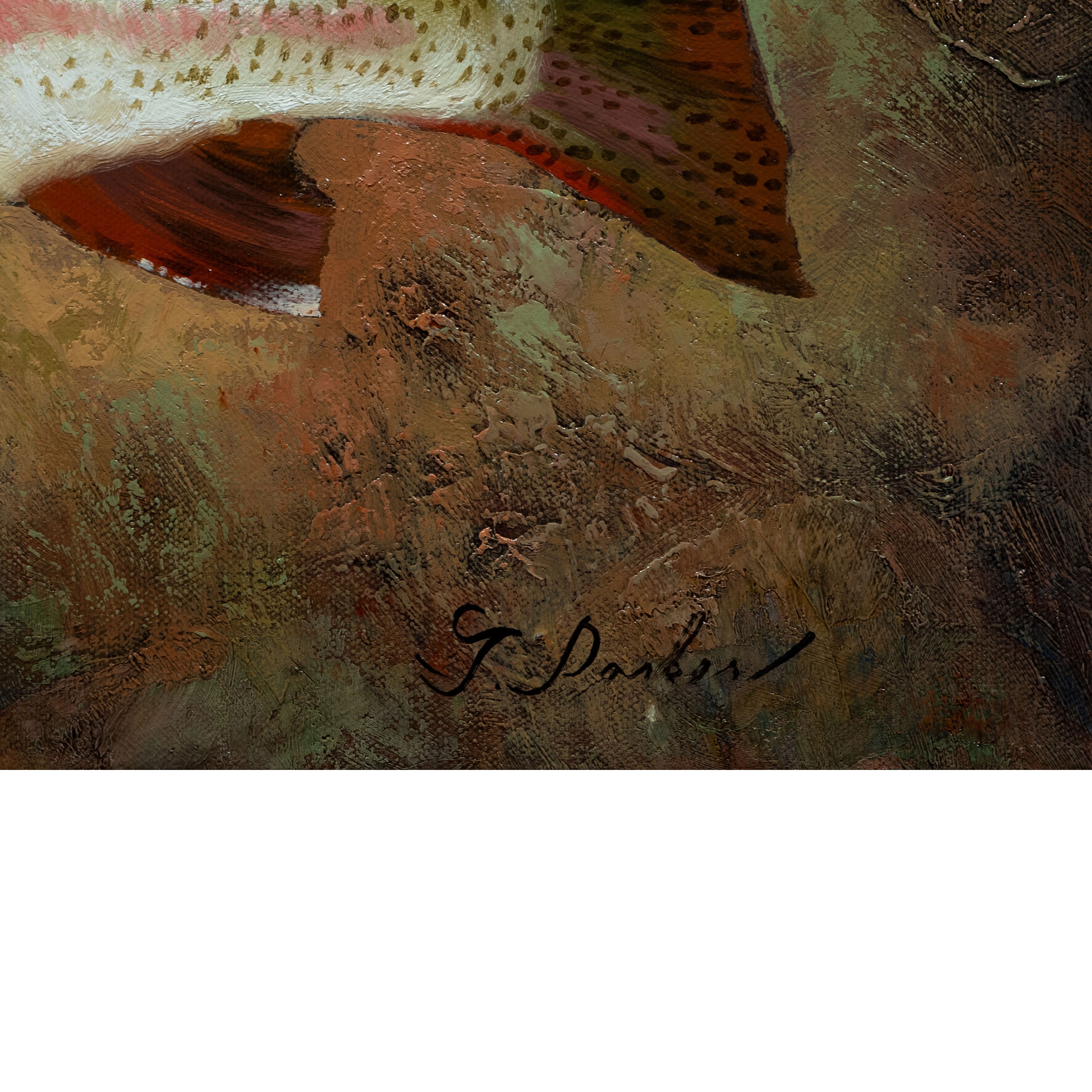 Trout Collection by Greg Parker