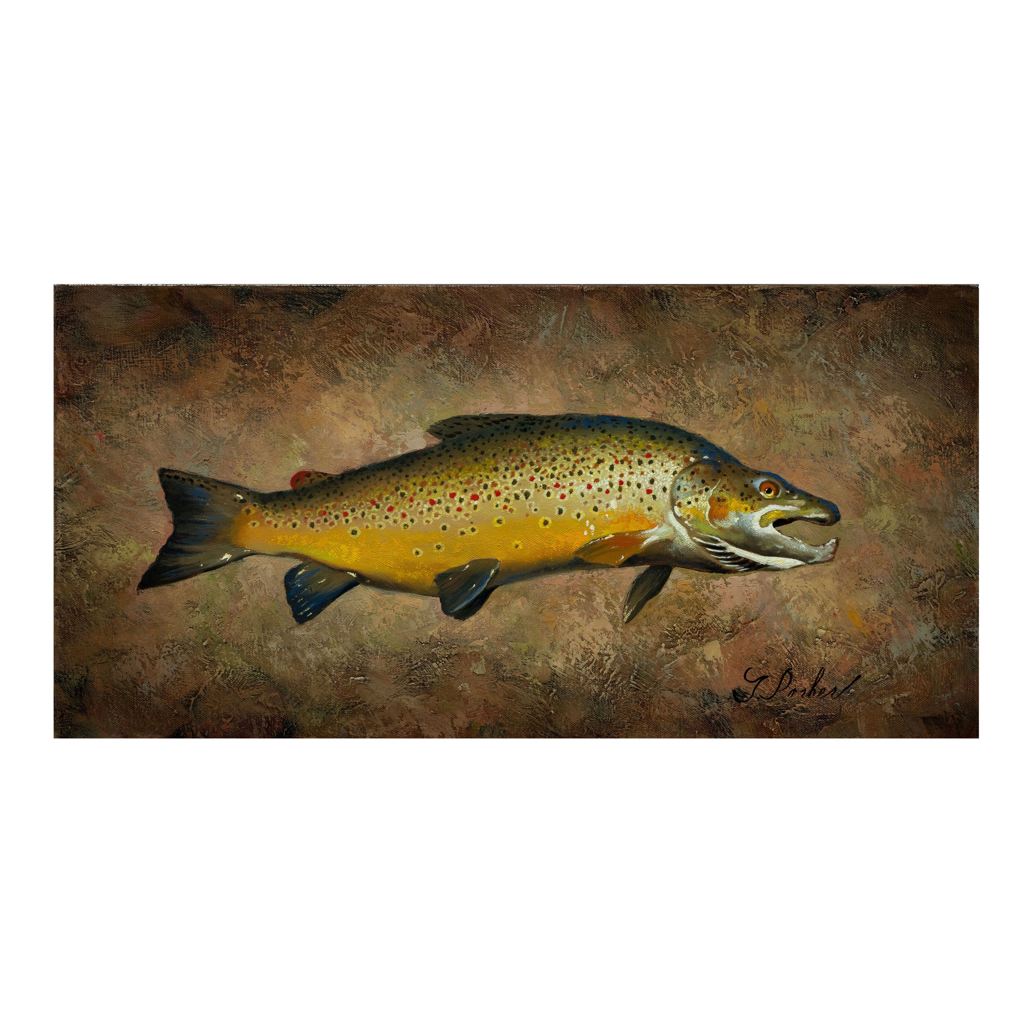 Trout Collection by Greg Parker