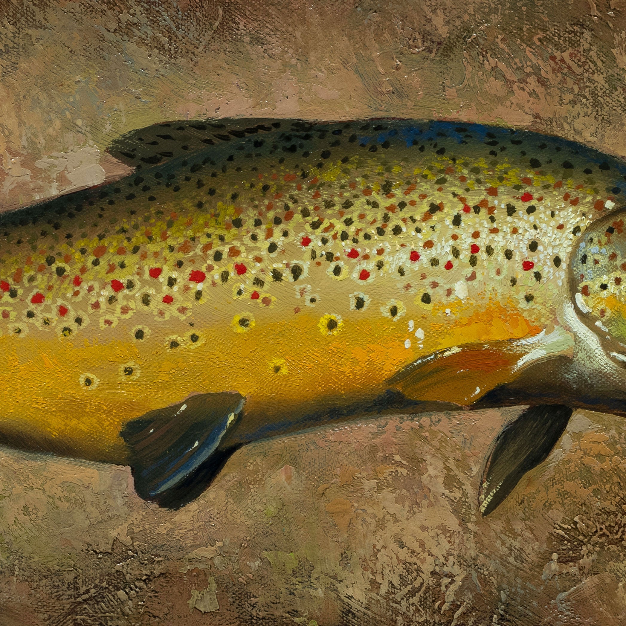 Trout Collection by Greg Parker