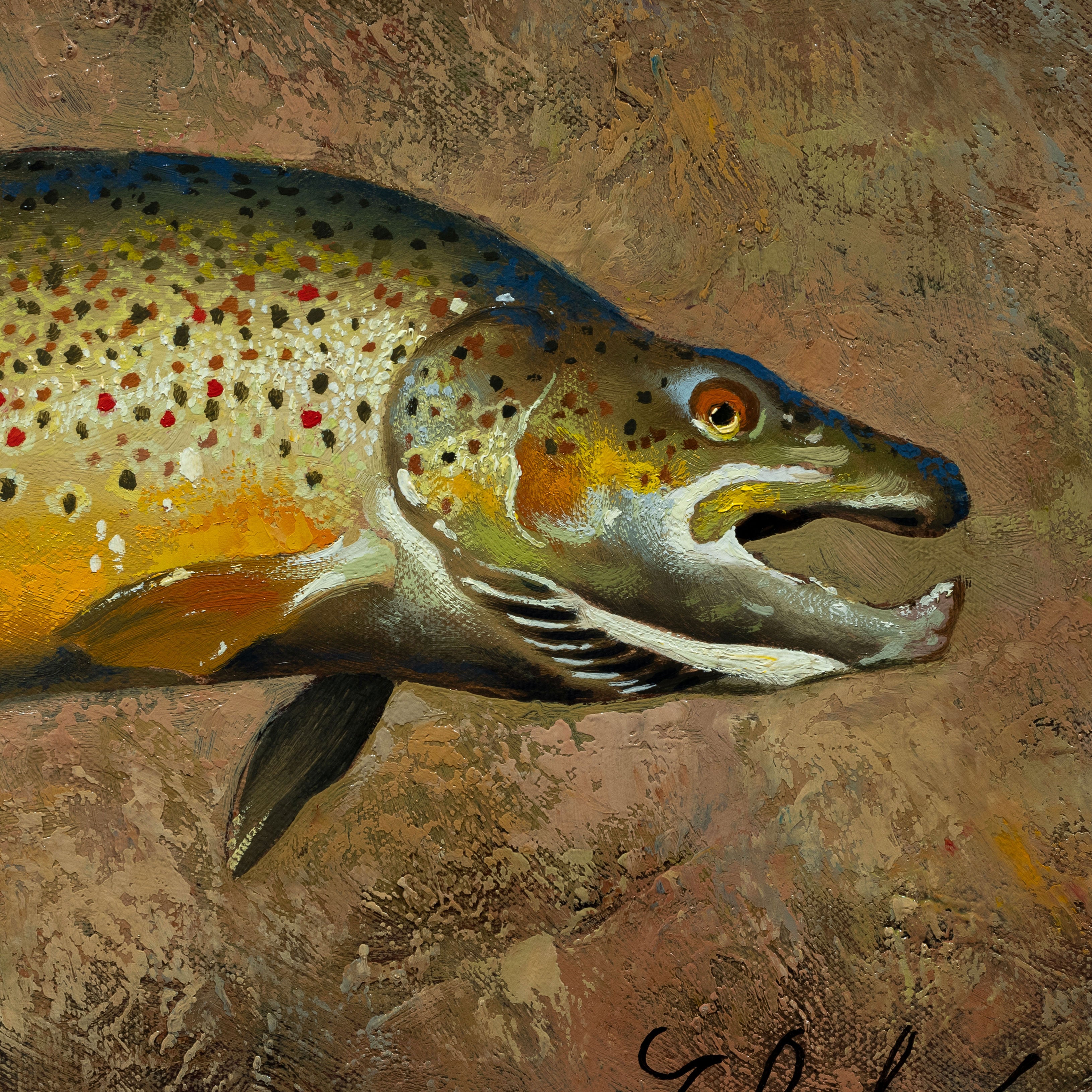 Trout Collection by Greg Parker