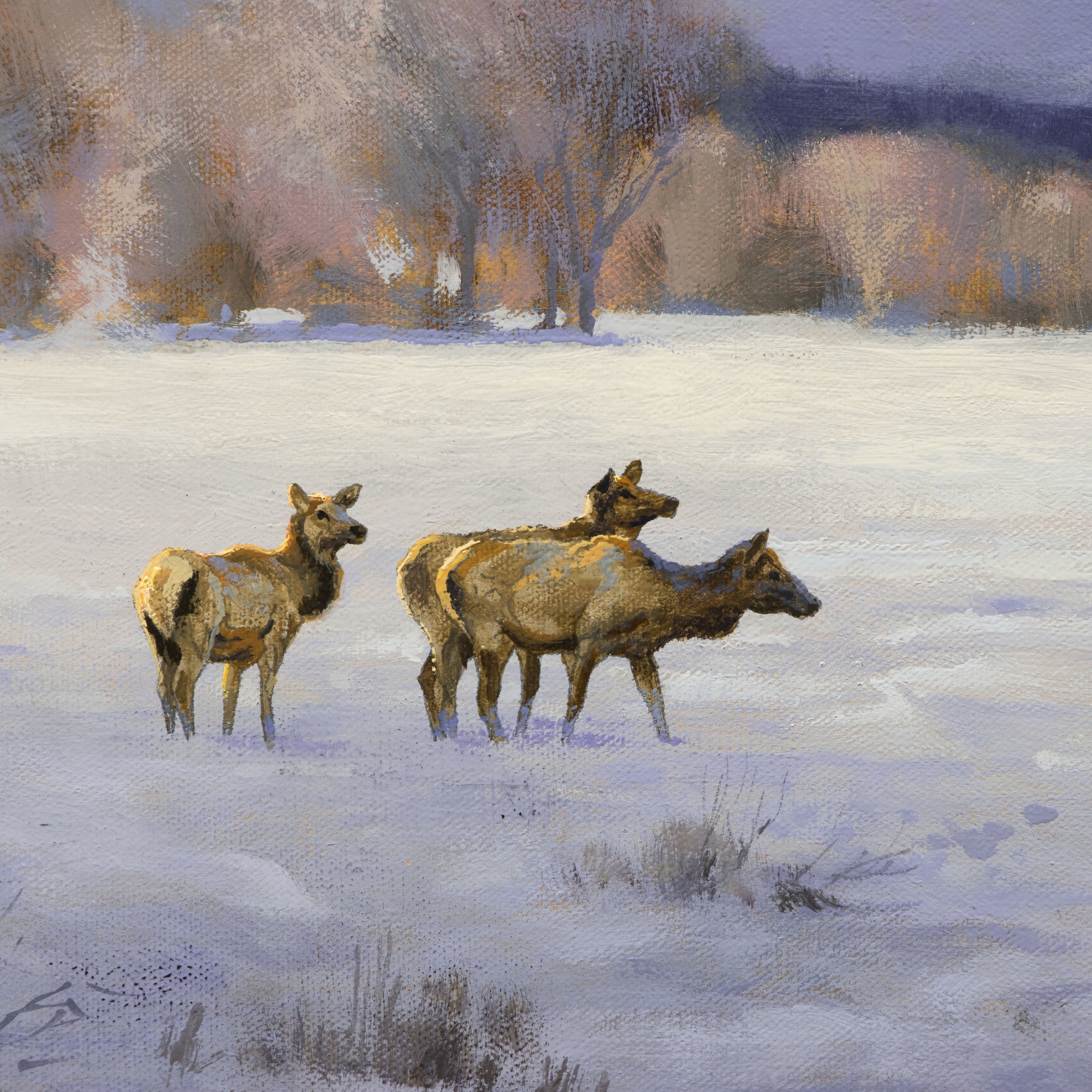 Winter's Expanse by Greg Parker