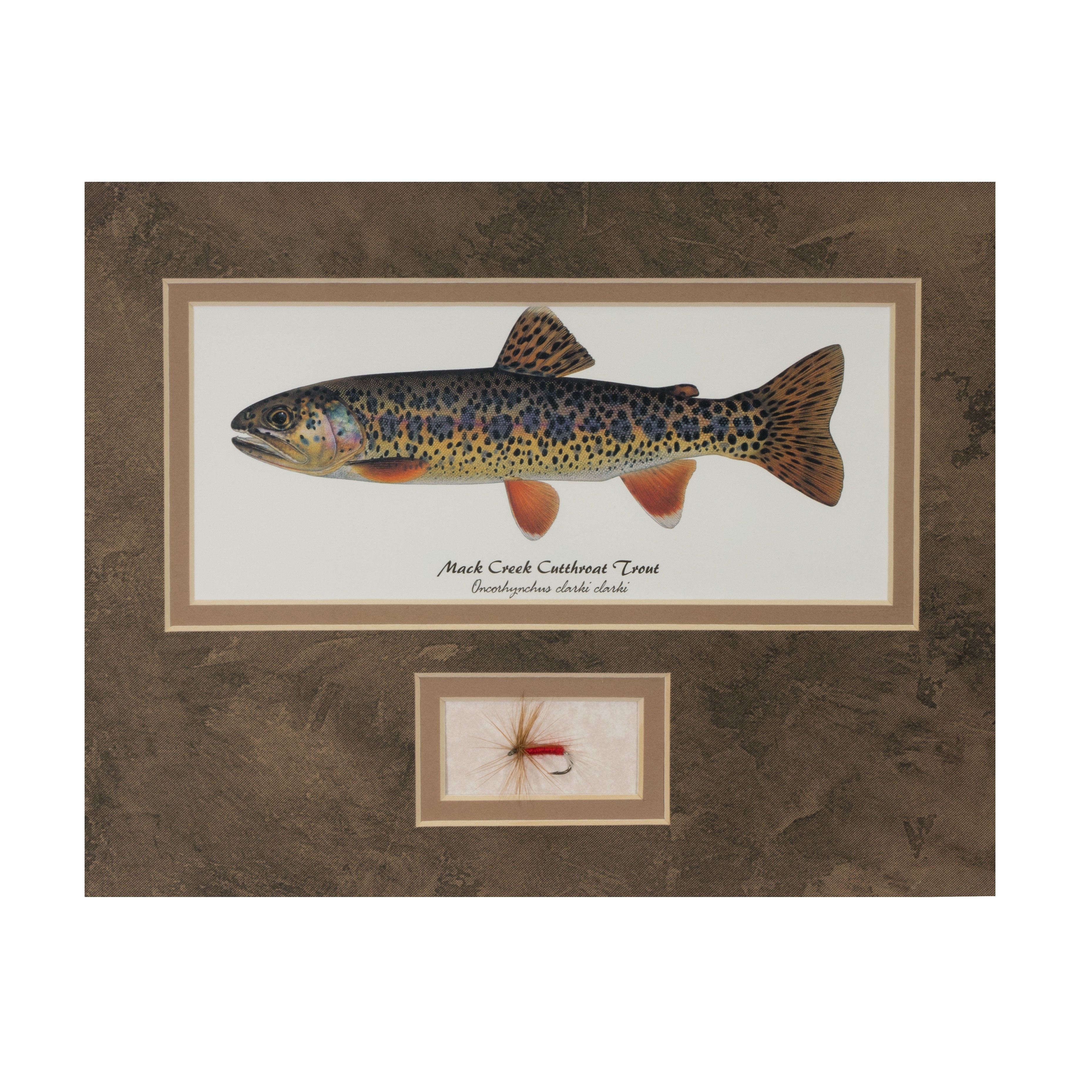 Set of Any 2 Trout Unframed Rainbow, Brook, Brown or Cutthroat