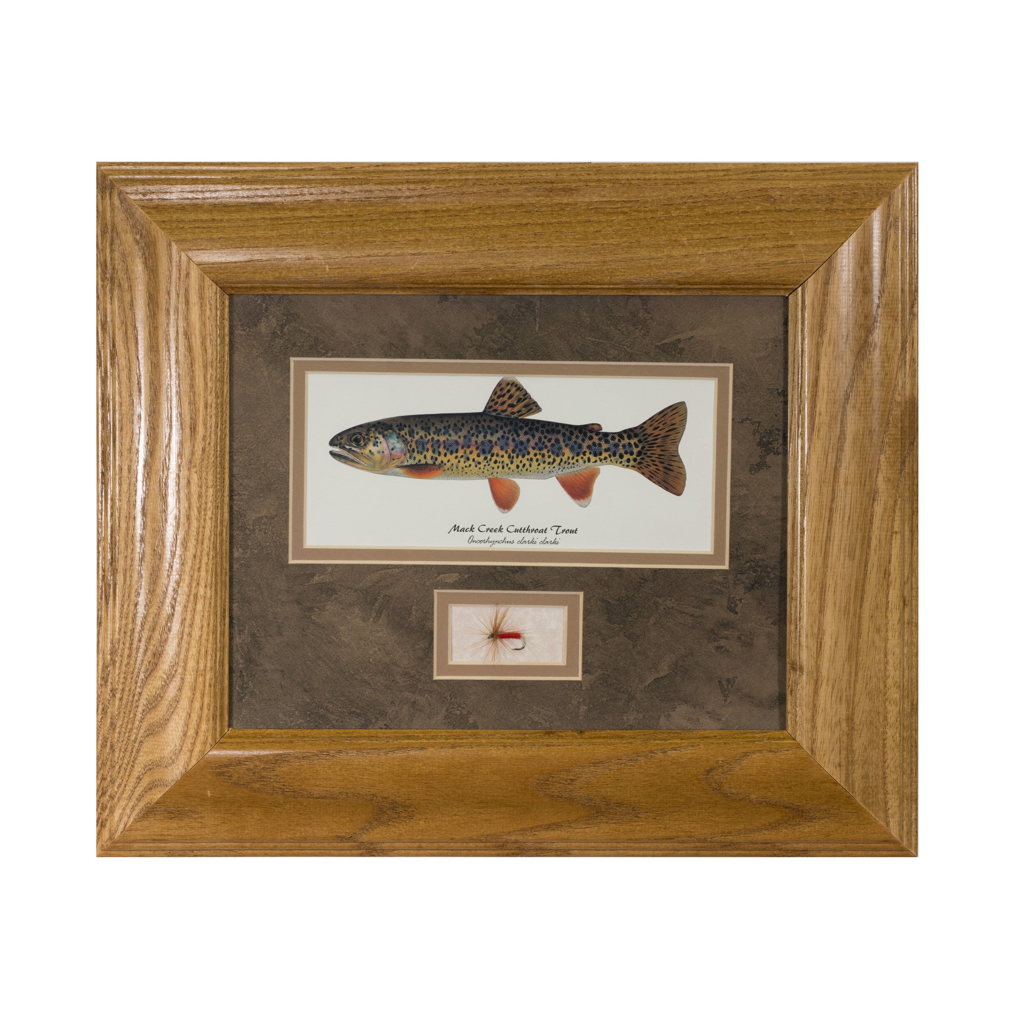 Set of Any 2 Trout Unframed Rainbow, Brook, Brown or Cutthroat