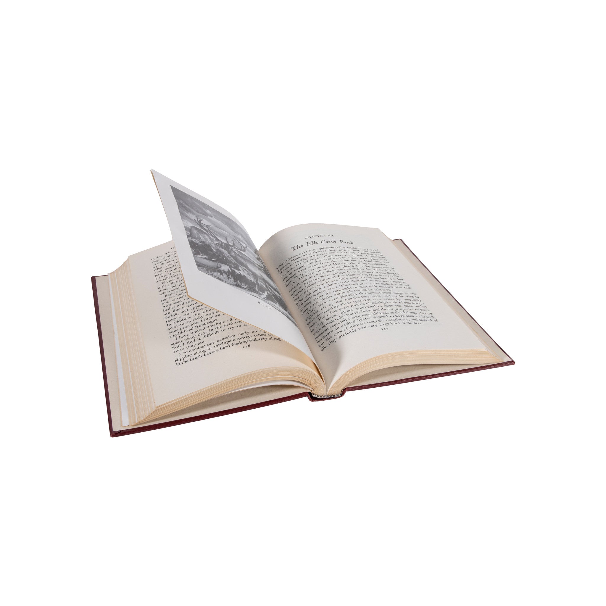 "Hunting In the Southwest" by Jack O'Connor