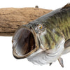 Monster Large Mouth Bass