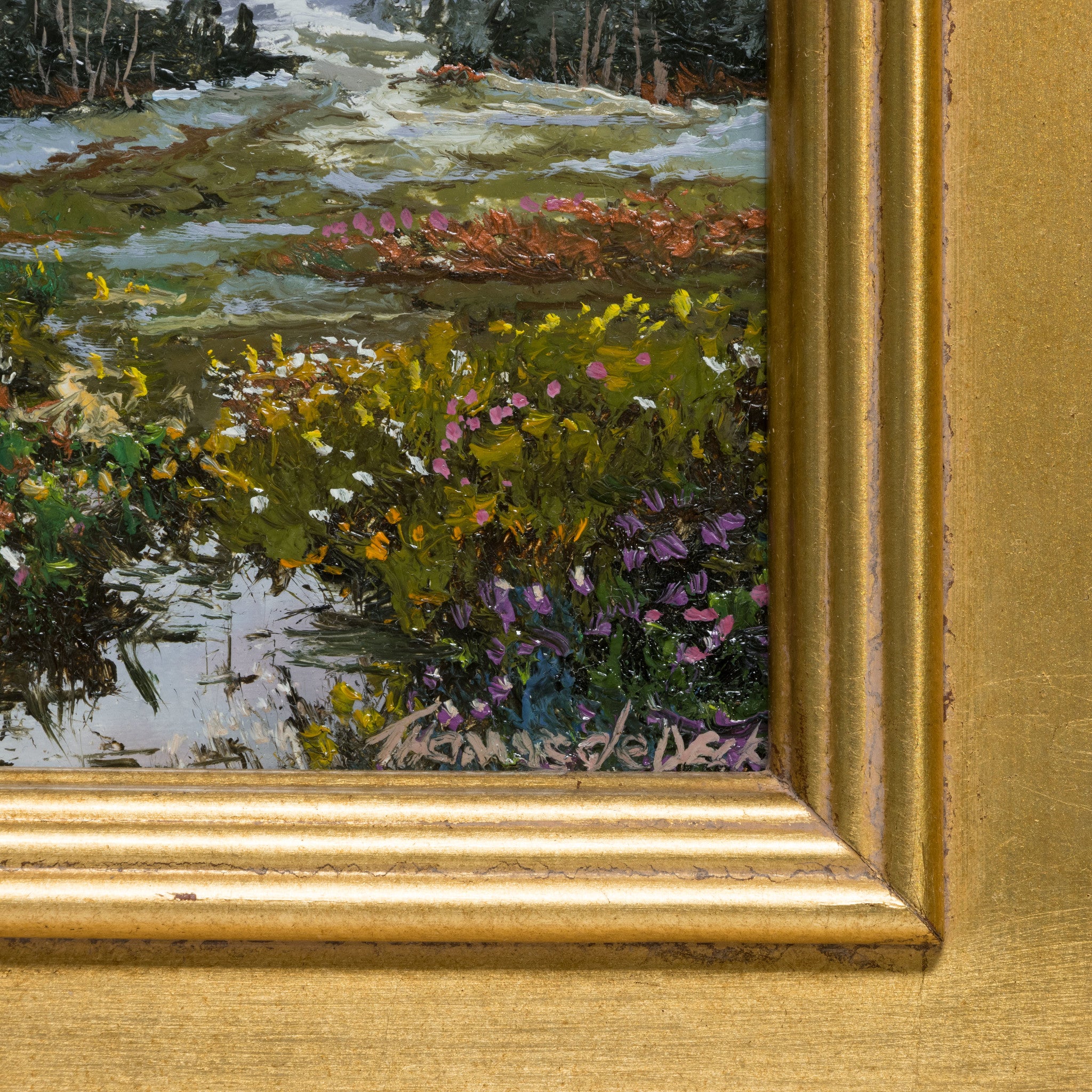 Spring by Thomas deDecker