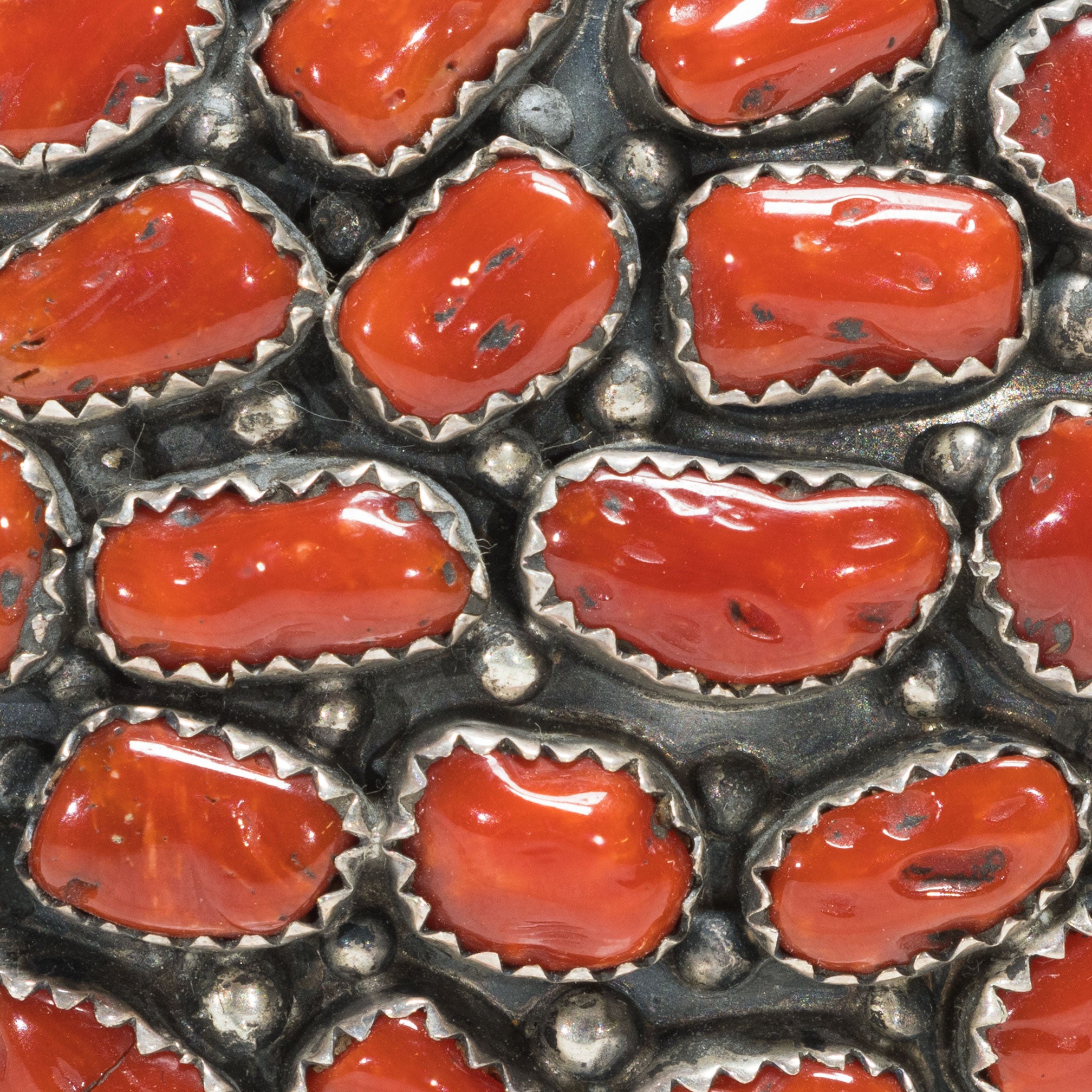 Coral and Sterling Buckle