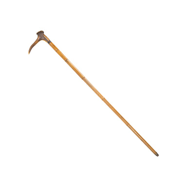 Cane Gun, Firearms, Rifle, Cane Gun